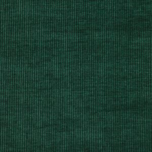 Cord Spruce