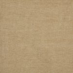 Cord Pampas