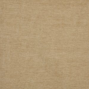 Cord Pampas