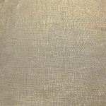 Shimmer Vanilla