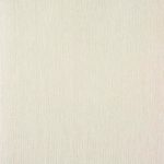 Glint Oyster