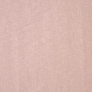 Mist Rose