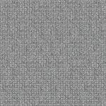 Camana Charcoal