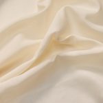 Spotlight Vanilla