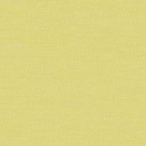 Boutique Lime