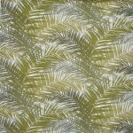 Jungle Palm