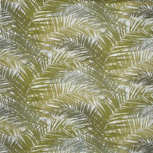 Jungle Palm