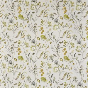 Grove Fennel