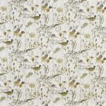 Wetlands Fennel