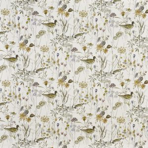 Wetlands Fennel