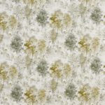 Woodland Fennel