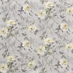 Orangery Primrose