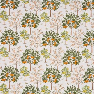 Lemon Grove Pear (pts110)