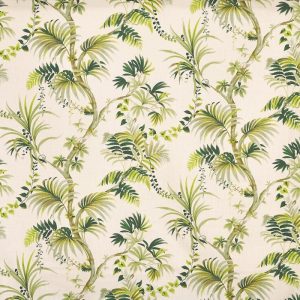 Analeigh Palm (pts108)
