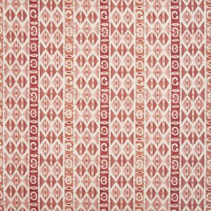 Rhodes Coral (pts111)