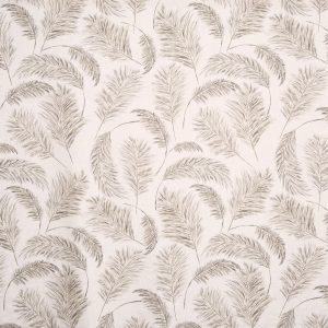 Pampas Grass Parchment (pts108)