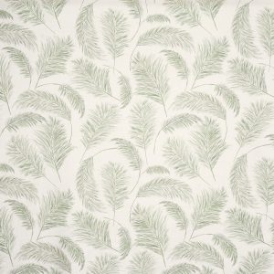 Pampas Grass Apple (pts108)