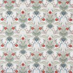 Cotswold Poppy