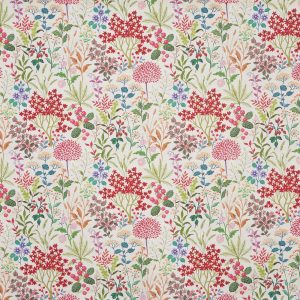 Story Cherry (pts117)