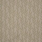 Boughton Ginger (pts119)