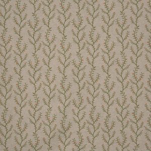 Boughton Ginger (pts119)
