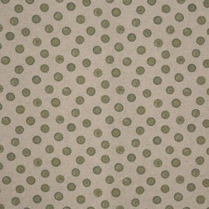 Daisy Olive (pts119)