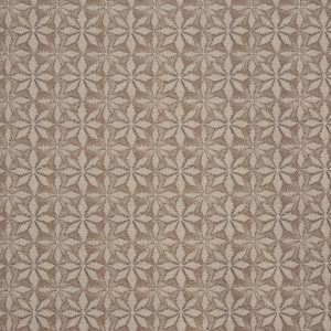 Haddon Nutmeg (pts119)