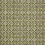 Haddon Apple (pts119)