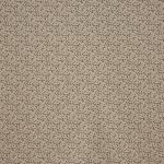 Syon Nutmeg (pts119)
