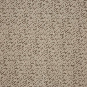 Syon Nutmeg (pts119)