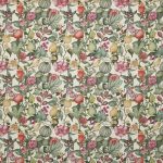 Clemence Meringue (pts108)