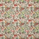 Clemence Papaya (pts108)