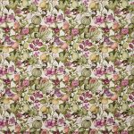 Clemence Wisteria (pts108)