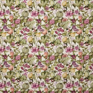 Clemence Wisteria (pts108)
