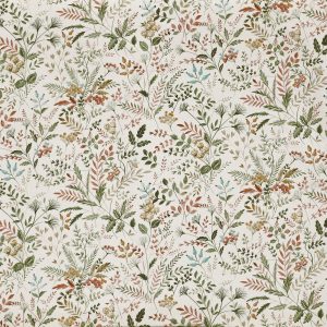 Cleo Apricot