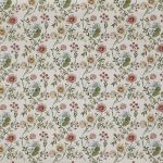 Longmoor Apricot