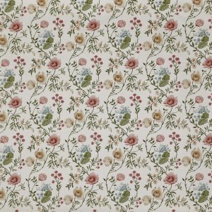 Longmoor Apricot