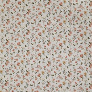 Marigold Apricot