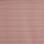 Dory Raspberry (pts119)