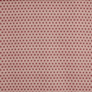 Dory Raspberry (pts119)