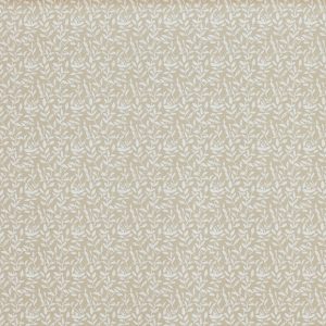 Demi Canvas
