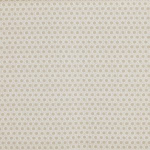 Mary Canvas