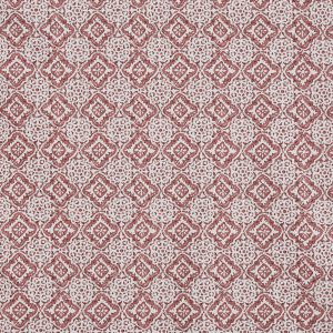 Simone Salsa (pts131)