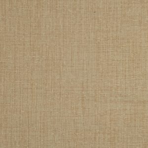 Glimpse Satinwood