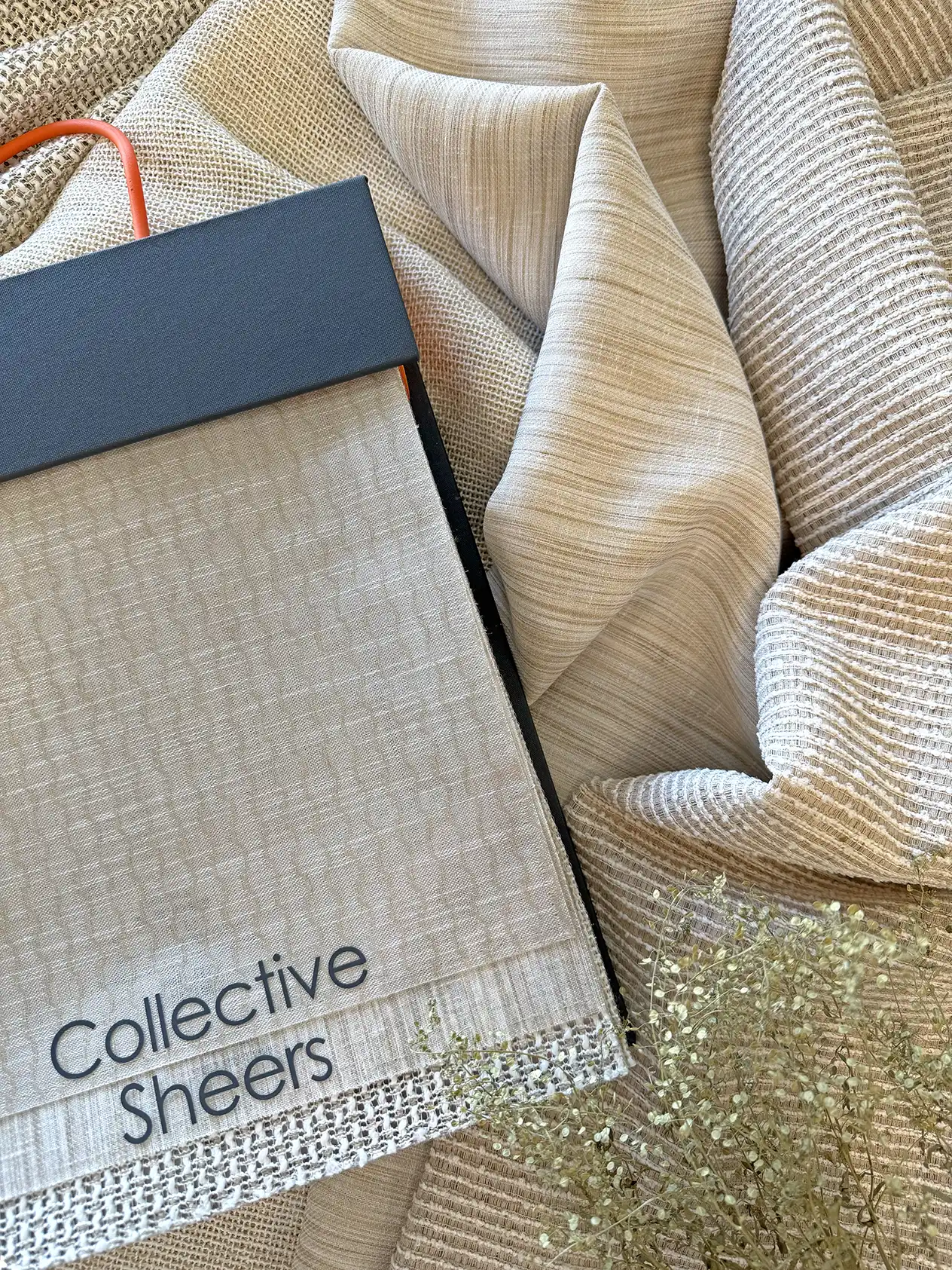 PT Summer 2026 Launch - Collective Sheers