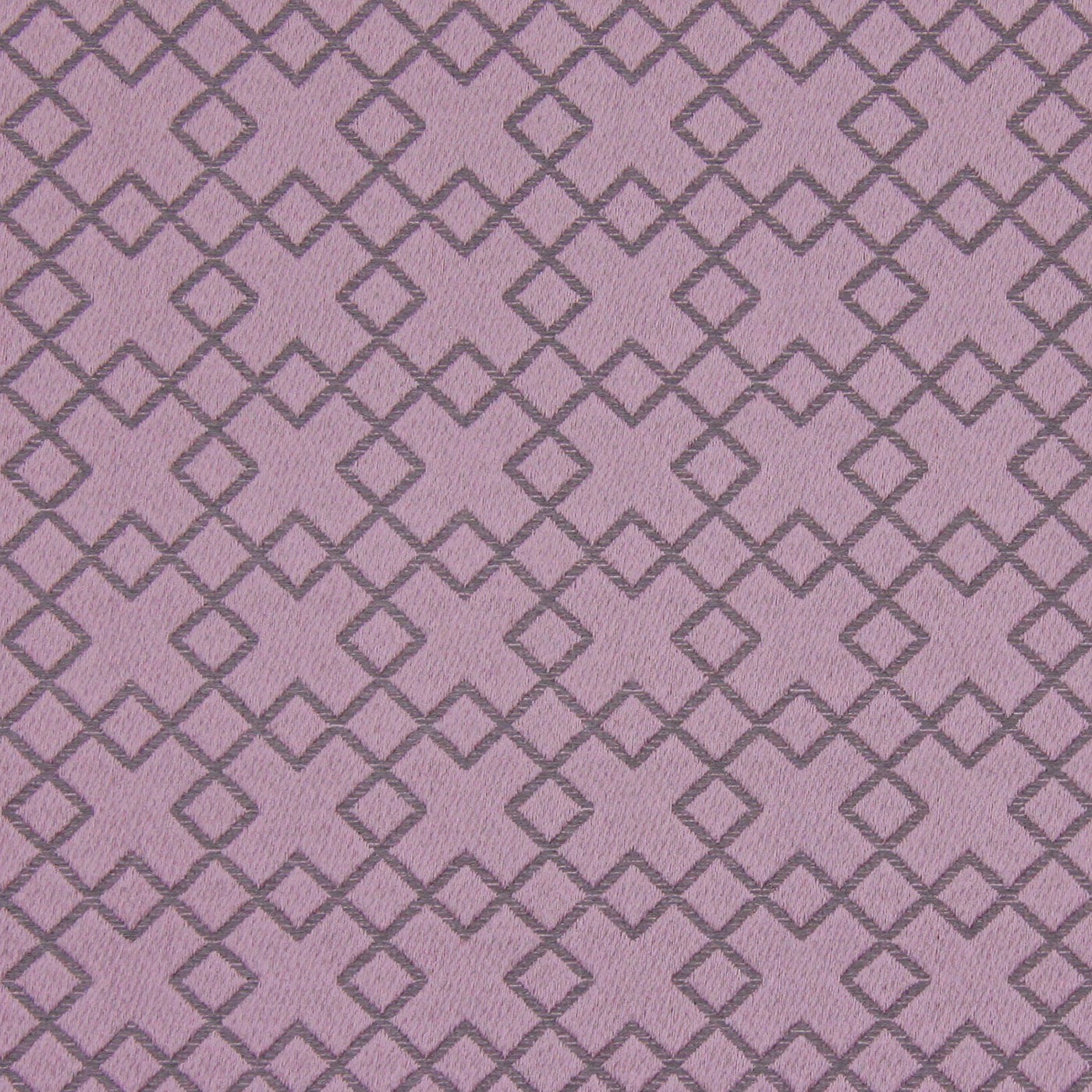Lexington Violet