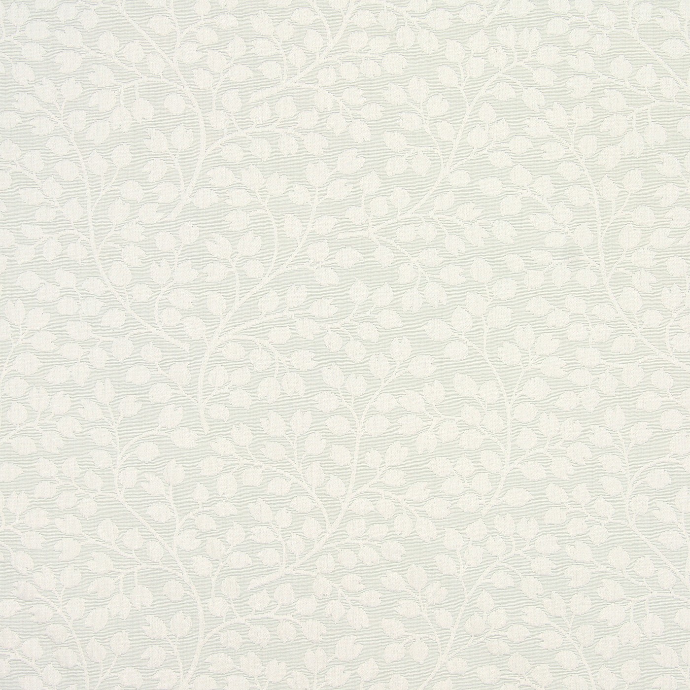 Filigree Peppermint