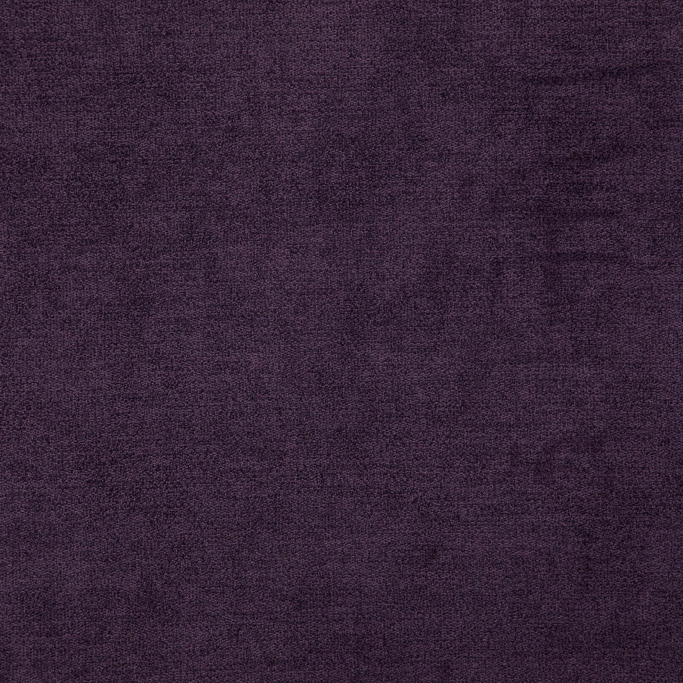 Denver Plum