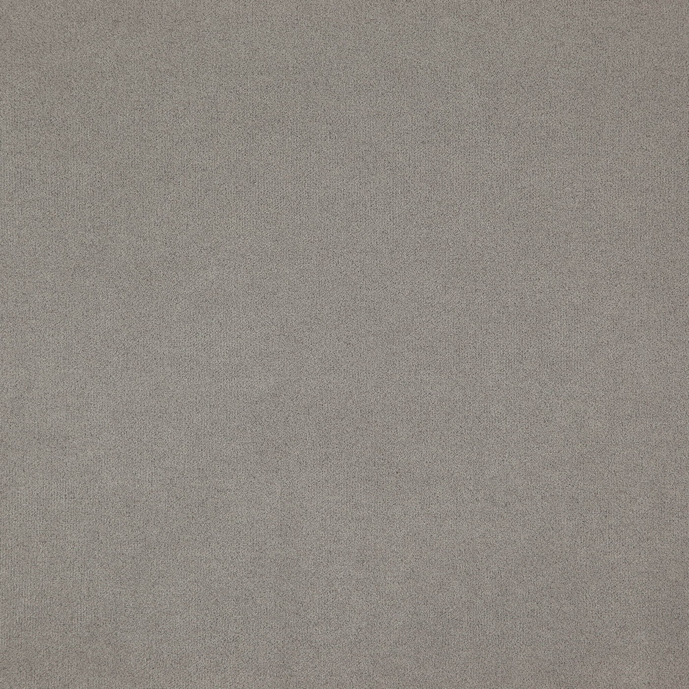 Montana Silver