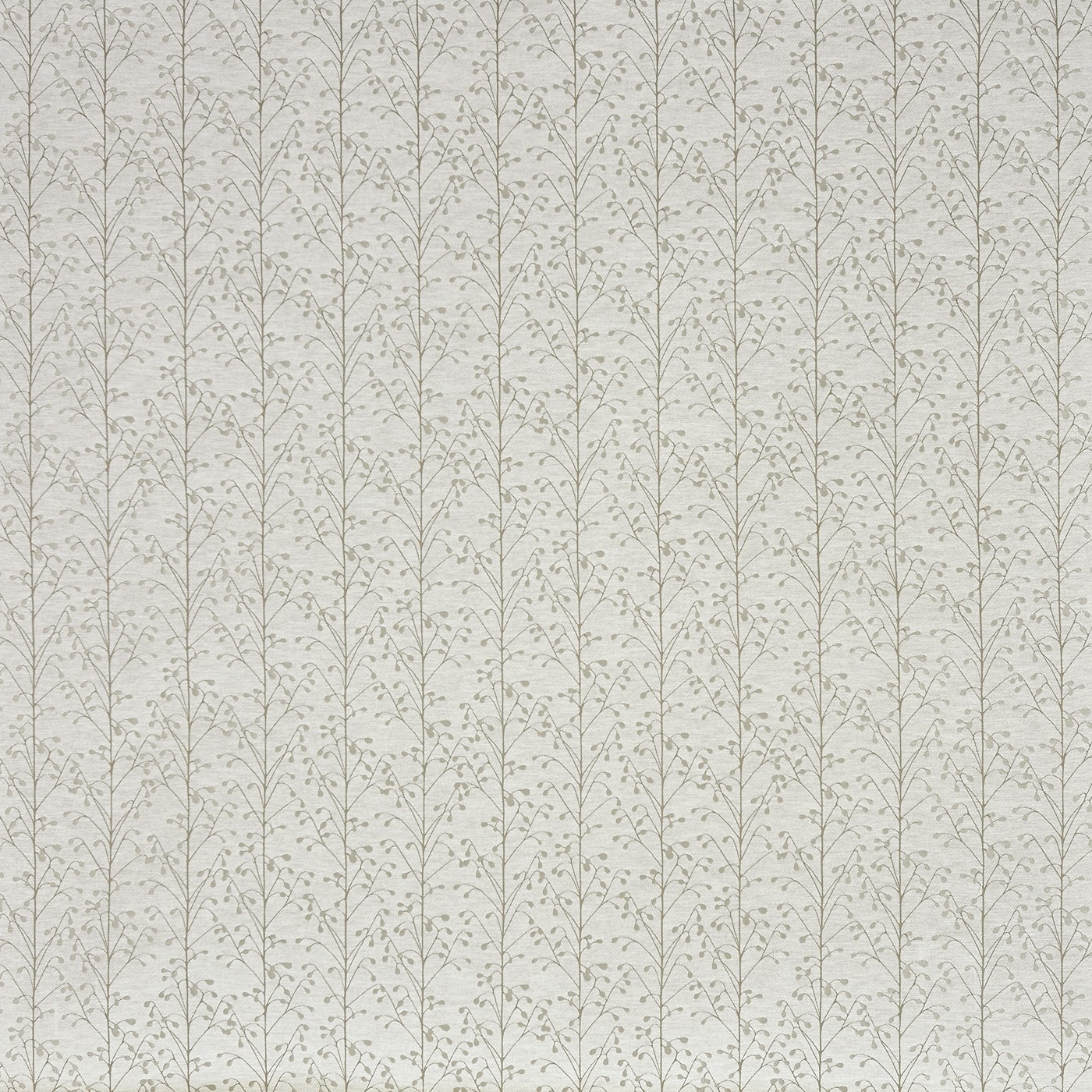 Exmoor Parchment